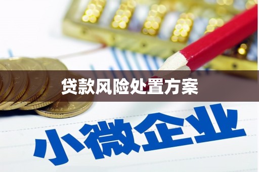 冈山贷款风险处置方案