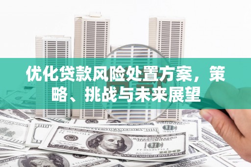 冈山优化贷款风险处置方案，策略、挑战与未来展望