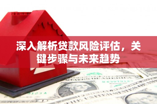 冈山深入解析贷款风险评估，关键步骤与未来趋势