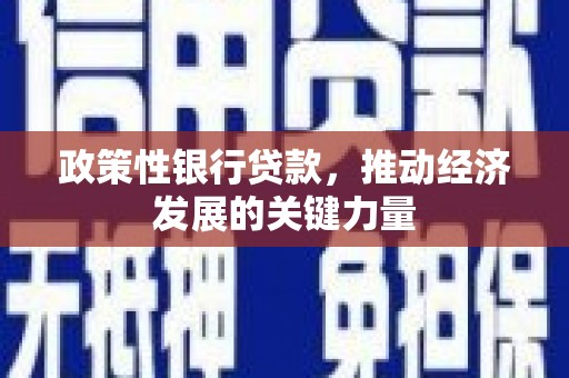 冈山政策性银行贷款，推动经济发展的关键力量