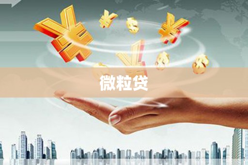 冈山微粒贷