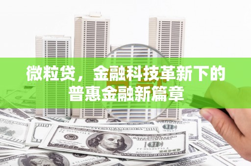 冈山微粒贷，金融科技革新下的普惠金融新篇章
