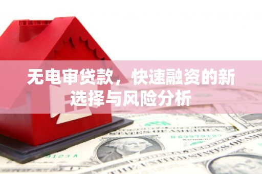 冈山无电审贷款，快速融资的新选择与风险分析