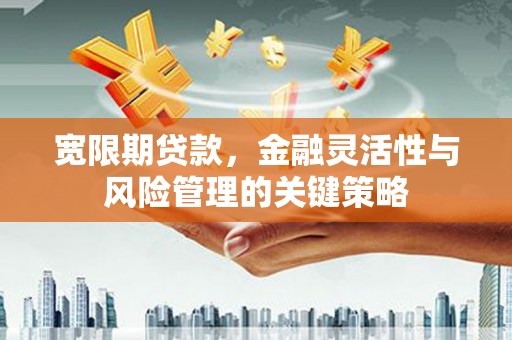 冈山宽限期贷款，金融灵活性与风险管理的关键策略