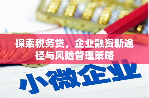 冈山探索税务贷，企业融资新途径与风险管理策略
