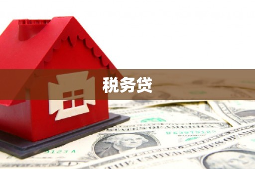 冈山税务贷