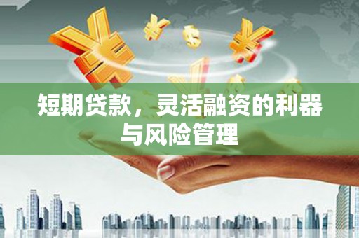 冈山短期贷款，灵活融资的利器与风险管理