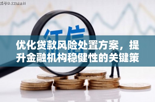 冈山优化贷款风险处置方案，提升金融机构稳健性的关键策略