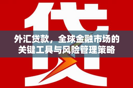 冈山外汇贷款，全球金融市场的关键工具与风险管理策略
