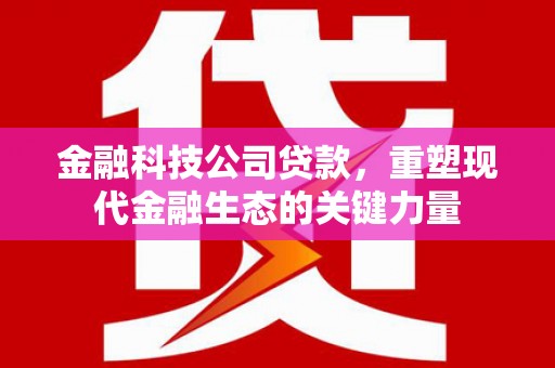 冈山金融科技公司贷款，重塑现代金融生态的关键力量