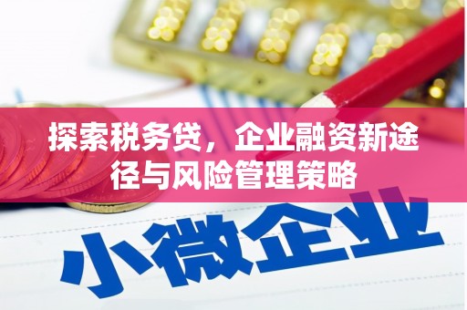 冈山探索税务贷，企业融资新途径与风险管理策略