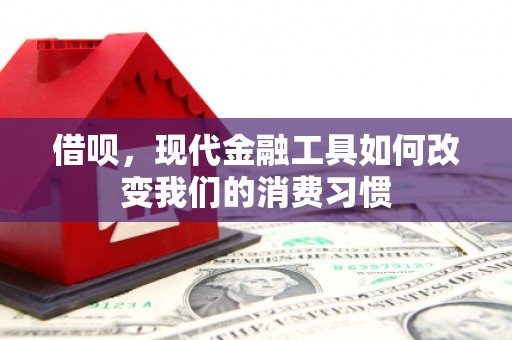 冈山借呗，现代金融工具如何改变我们的消费习惯