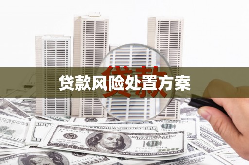 冈山贷款风险处置方案