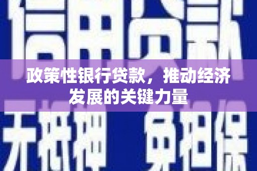 冈山政策性银行贷款，推动经济发展的关键力量