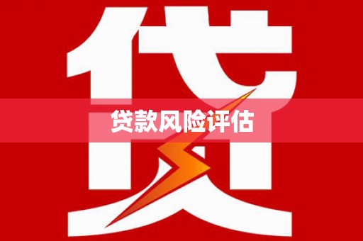 冈山贷款风险评估
