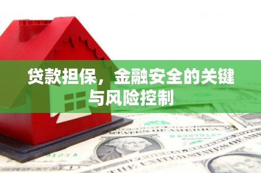 冈山贷款担保，金融安全的关键与风险控制