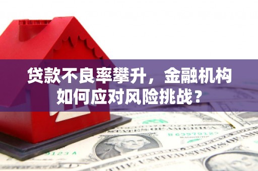 冈山贷款不良率攀升，金融机构如何应对风险挑战？