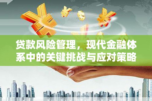 冈山贷款风险管理，现代金融体系中的关键挑战与应对策略