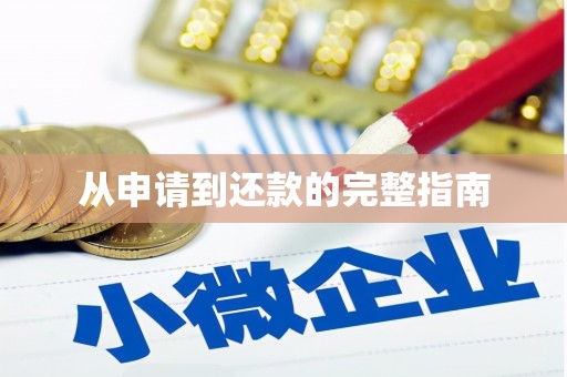 冈山从申请到还款的完整指南