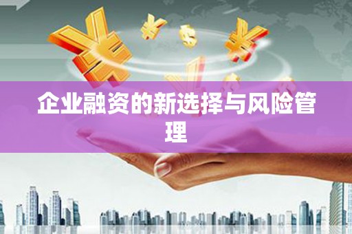 冈山企业融资的新选择与风险管理