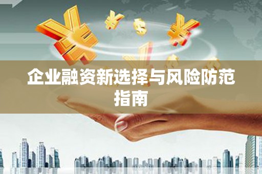 冈山企业融资新选择与风险防范指南