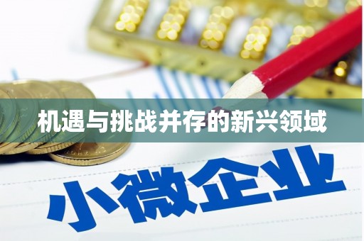 冈山机遇与挑战并存的新兴领域