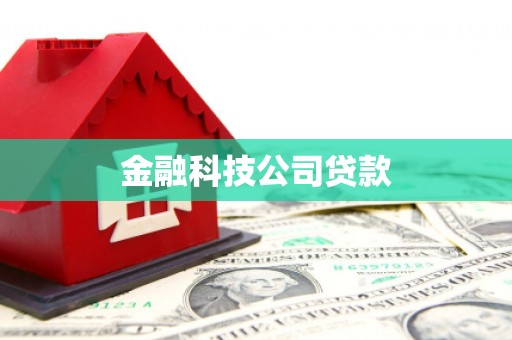 冈山金融科技公司贷款