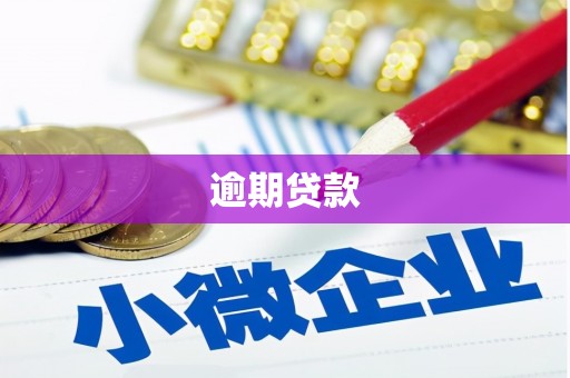 冈山逾期贷款