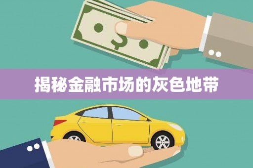 冈山揭秘金融市场的灰色地带