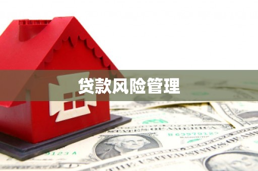 冈山贷款风险管理