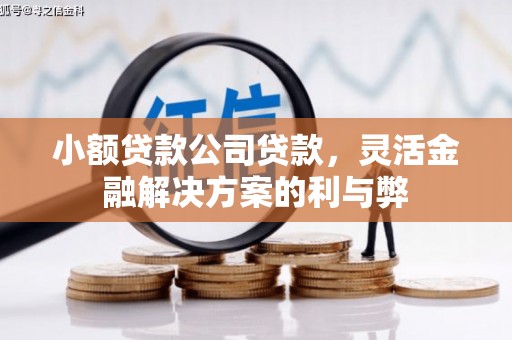 冈山小额贷款公司贷款，灵活金融解决方案的利与弊
